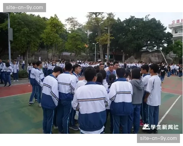 深度：排球用球科技演变对比赛节奏节奏风格的影响